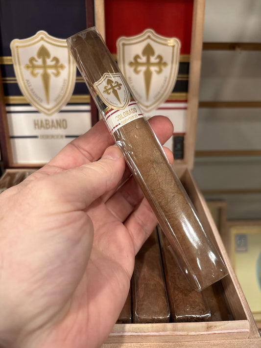 All Saints -  STF Colorado Toro