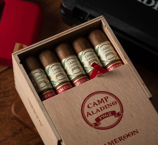 JRE Aladino - Gorbusto Cameroon