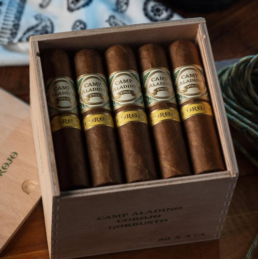 JRE Aladino - Gorbusto Corojo