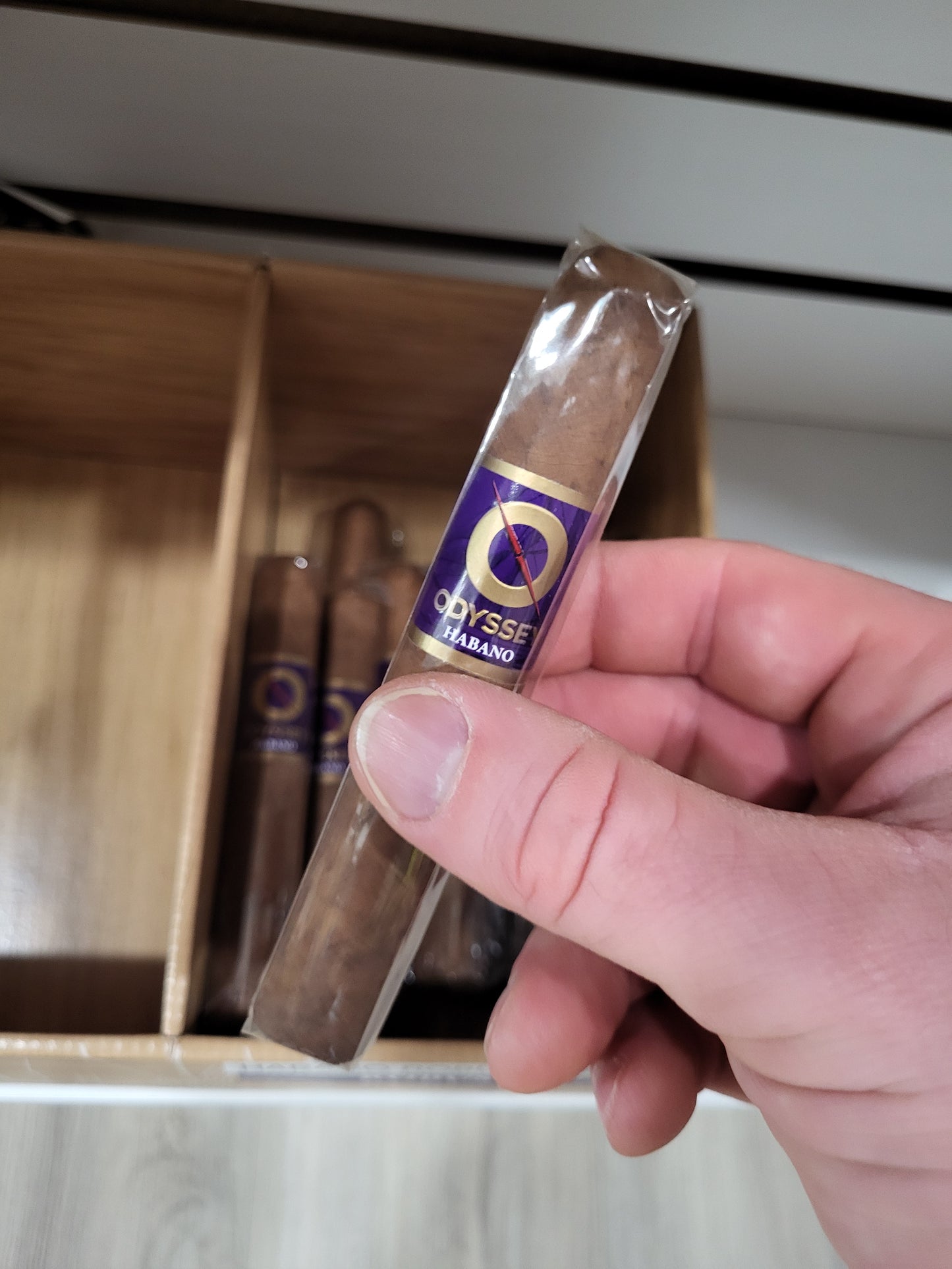 Odyssey - Habano Robusto