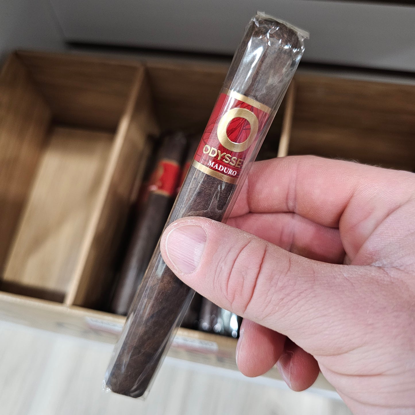 Odyssey - Maduro Toro