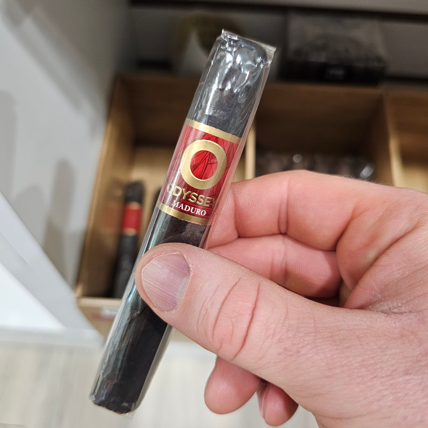 Odyssey - Maduro Robusto