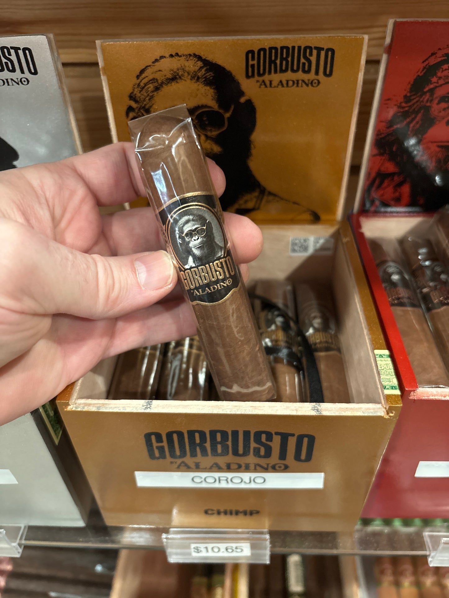 JRE Aladino - Gorbusto Chimp