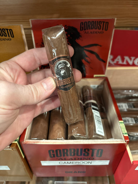 JRE Aladino - Gorbusto Orang