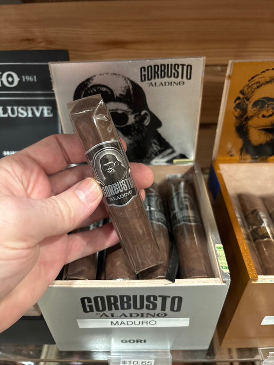 JRE Aladino - Gorbusto Gori
