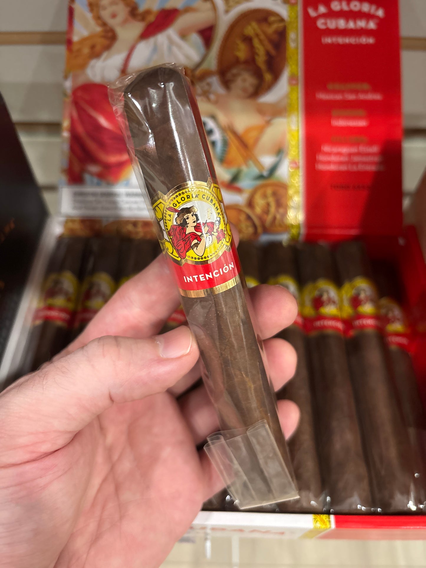 La Gloria Cubana - Intencion Toro
