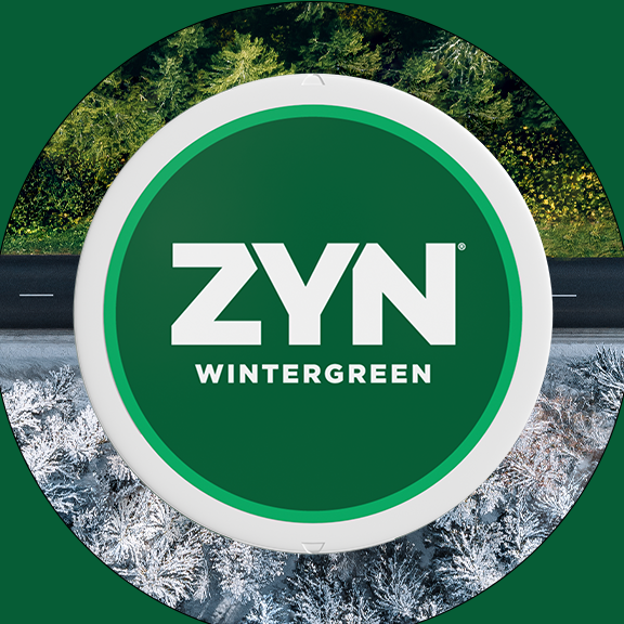 ZYN - Wintergreen 6mg