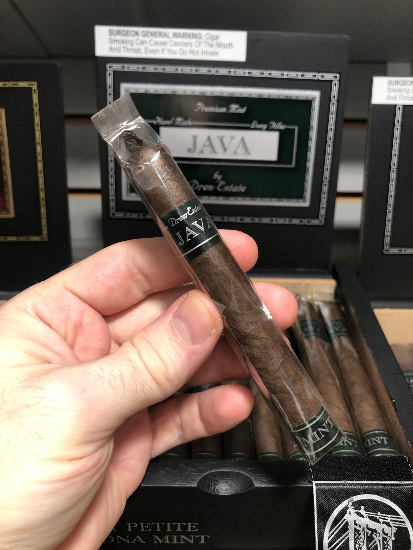 JAVA - Mint Petite Corona