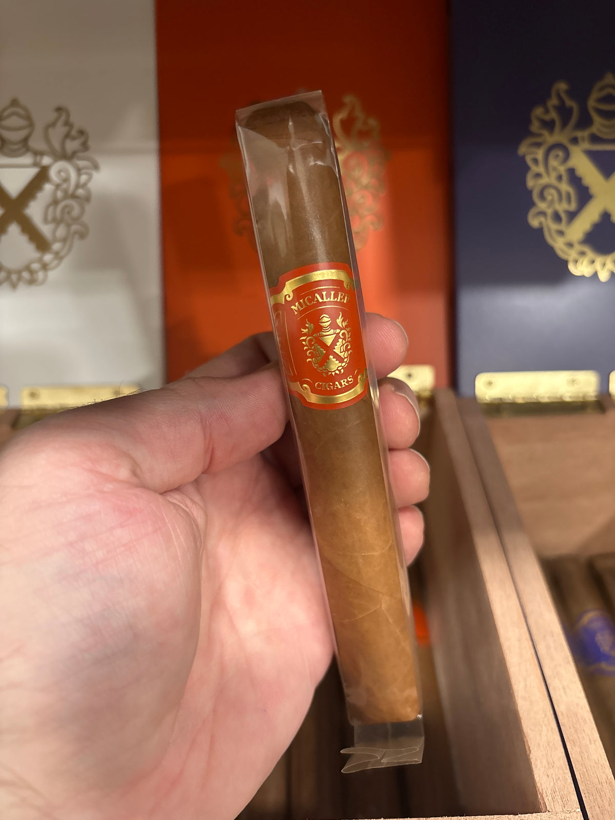 Micallef - Orange Toro