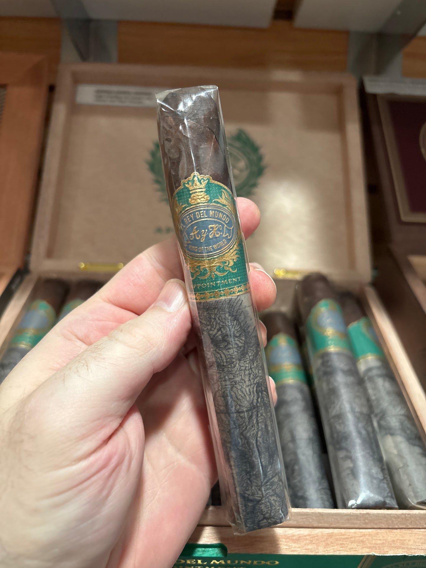 El Rey Del Mundo - Appointment Brazil 2026 Toro