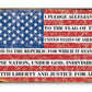 Metal Sign - I Pledge Allegiance 8x12