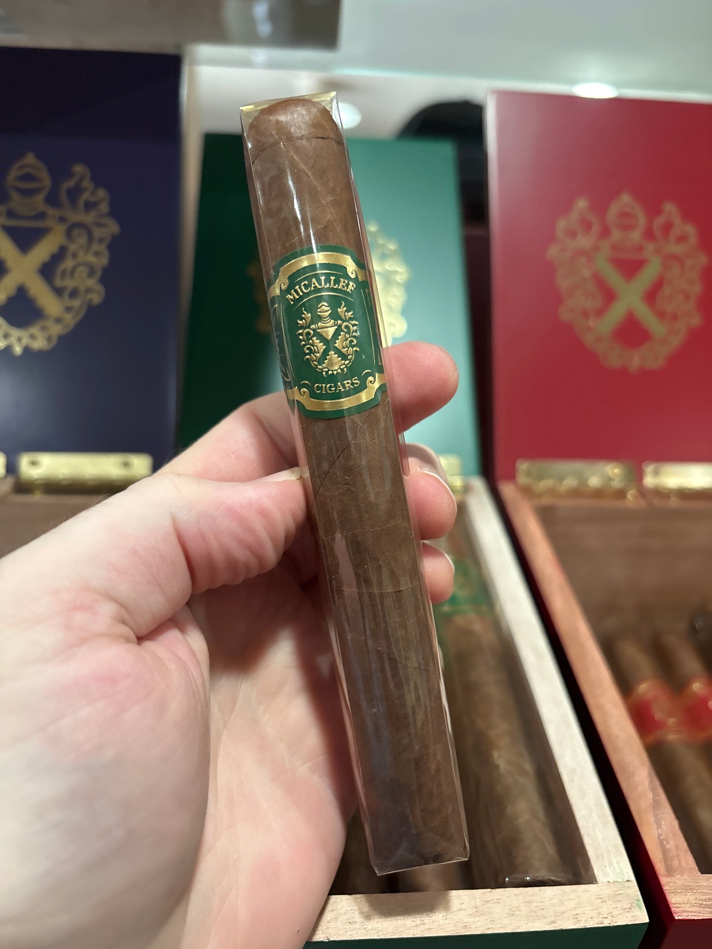 Micallef - Green Toro