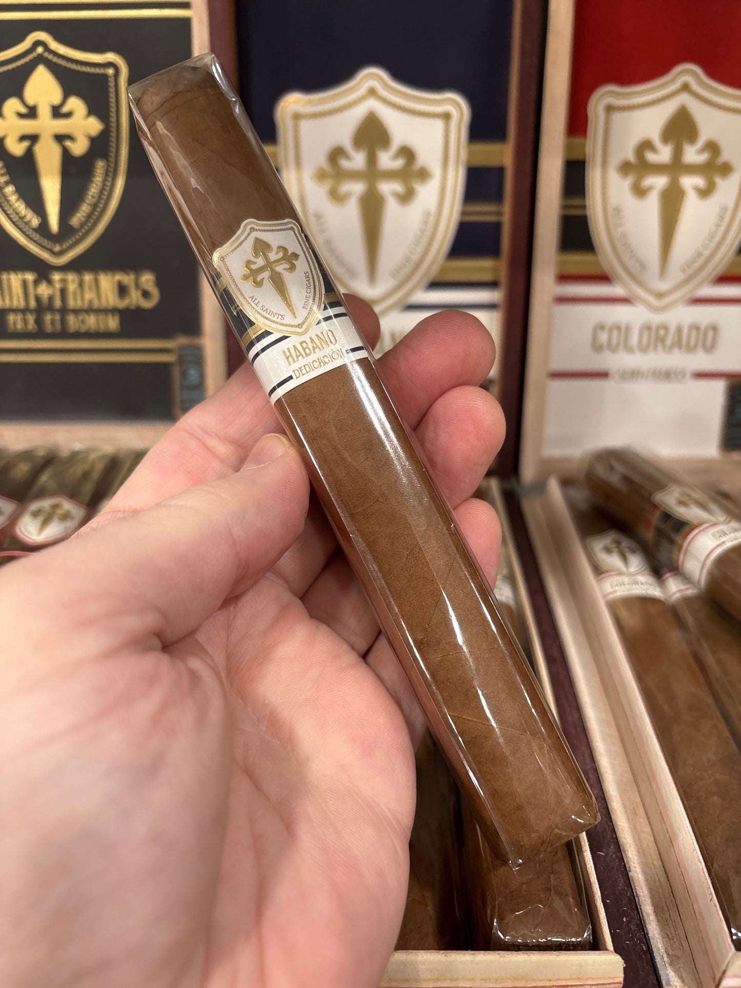 All Saints -  Dedicacion Habano Toro