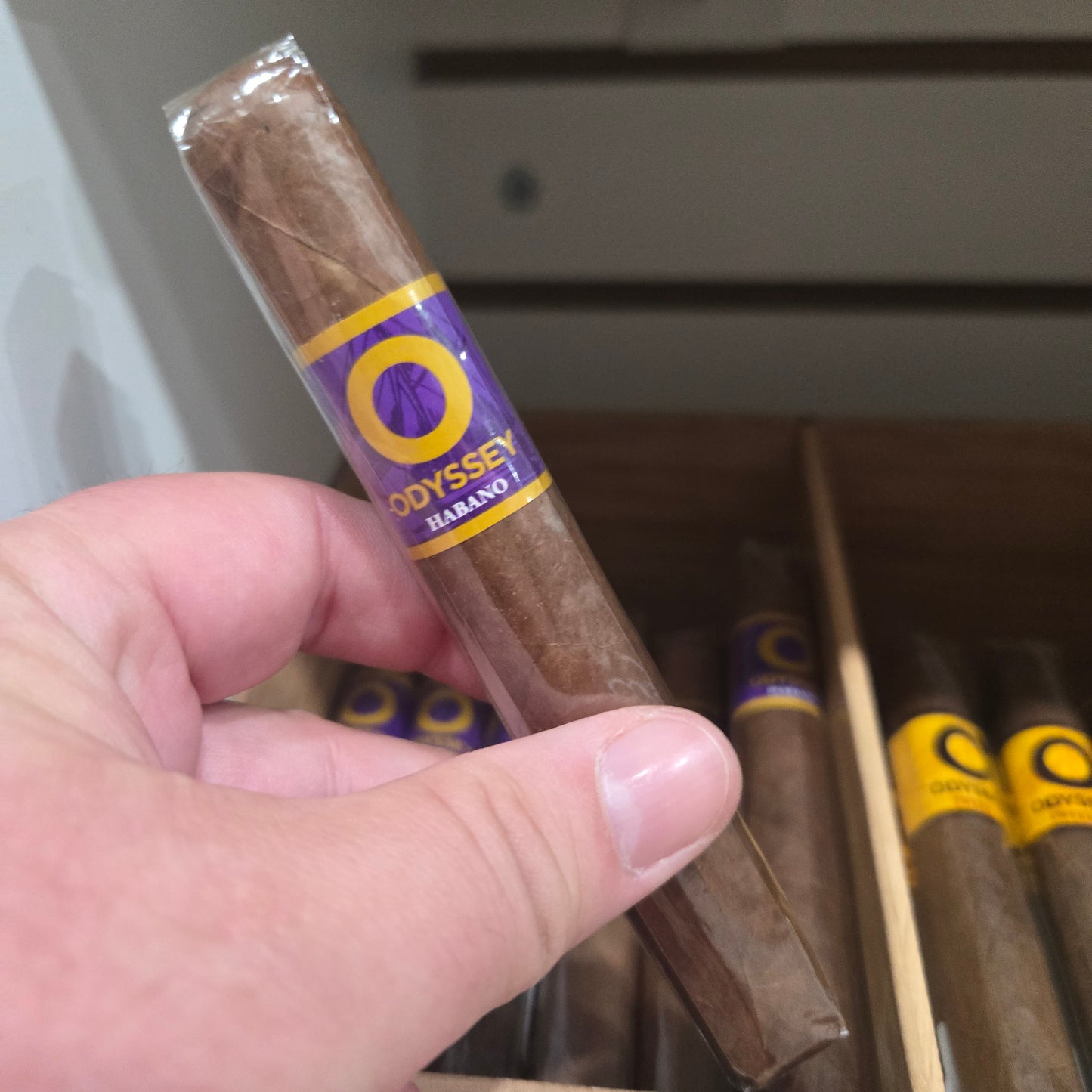 Odyssey - Habano Toro
