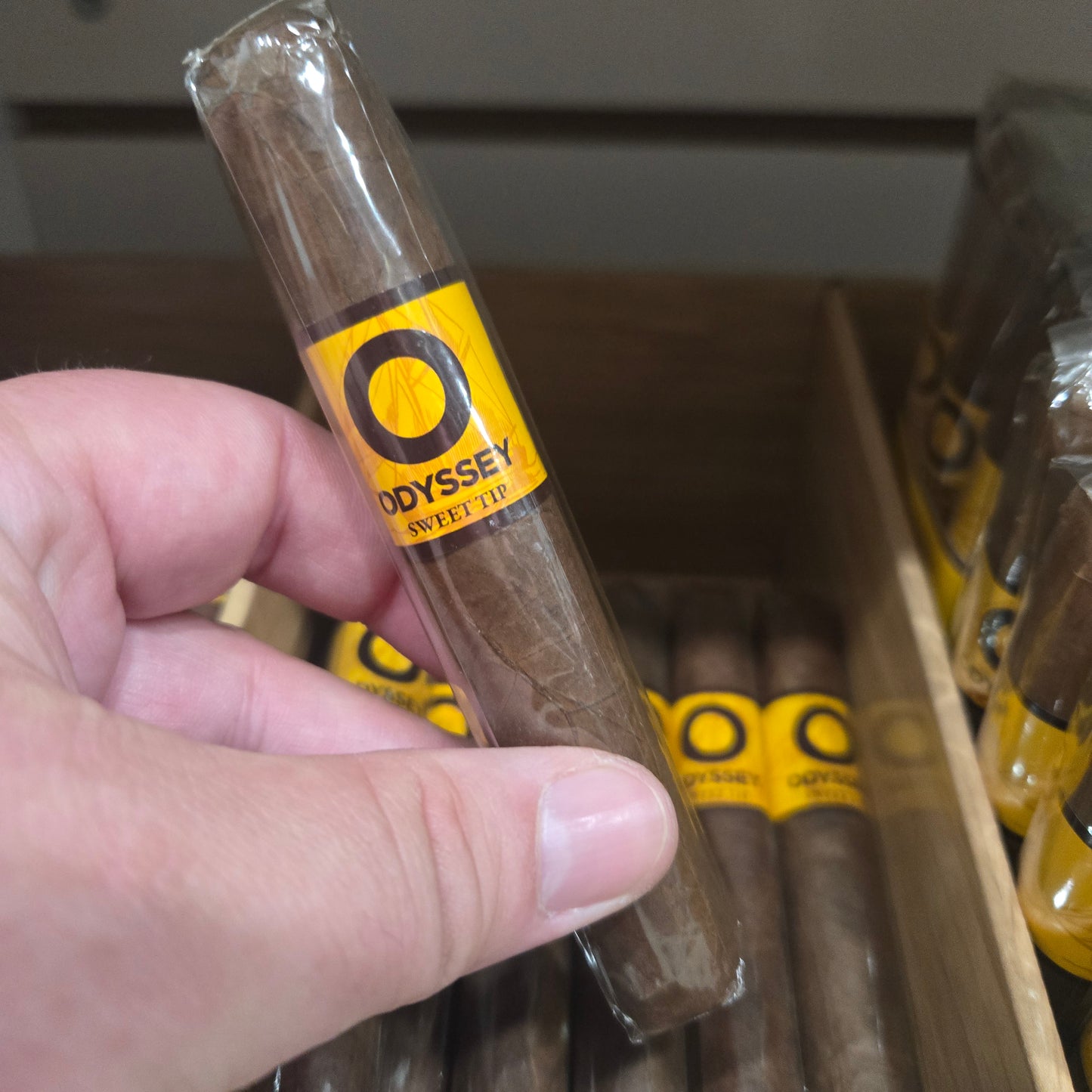 Odyssey - Sweet Tip Robusto