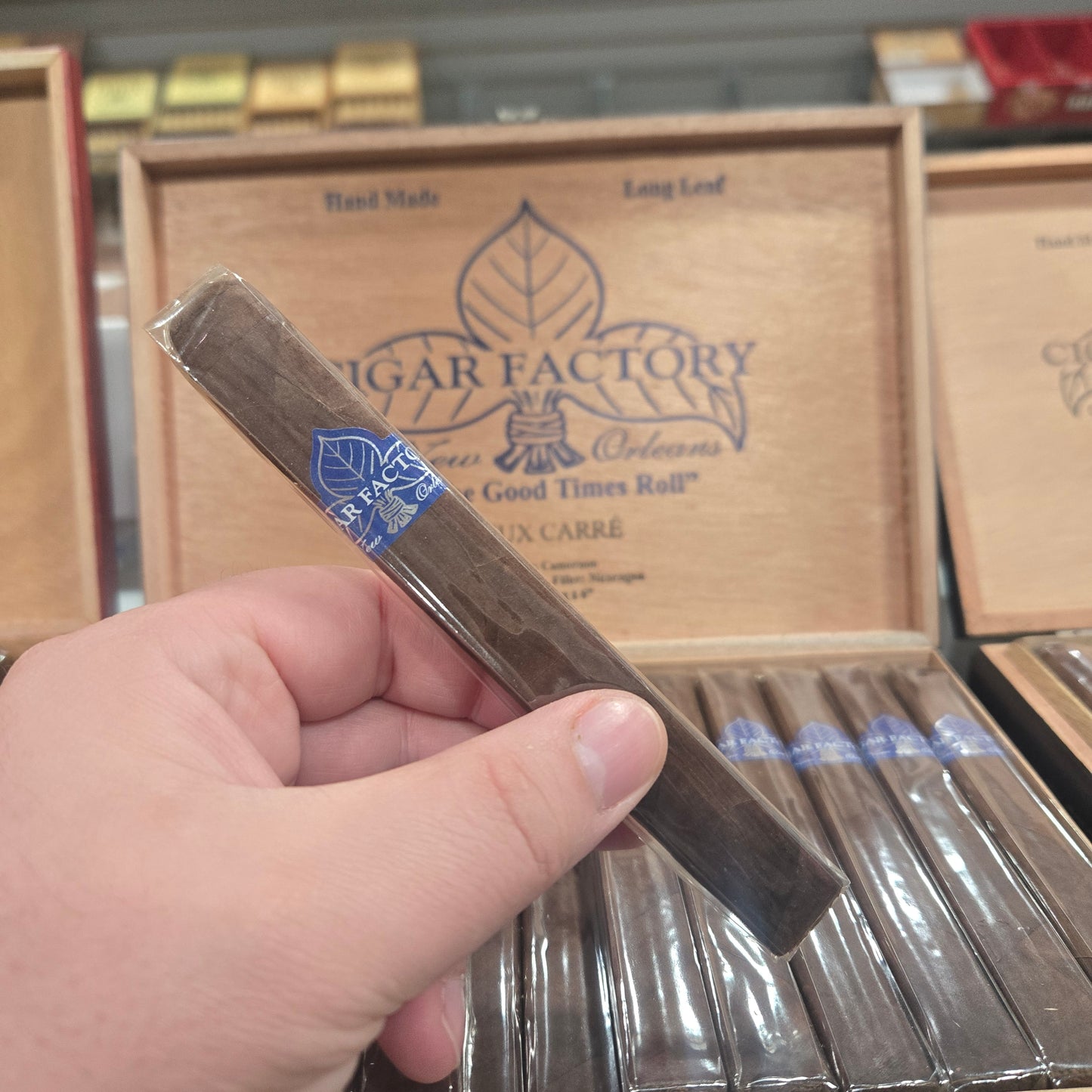 New Orleans Cigar Factory - Vieux Carre Cafe 6x46