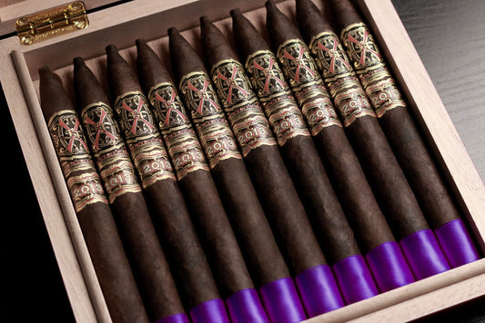 Opus X - Heaven and Earth Purple Rain