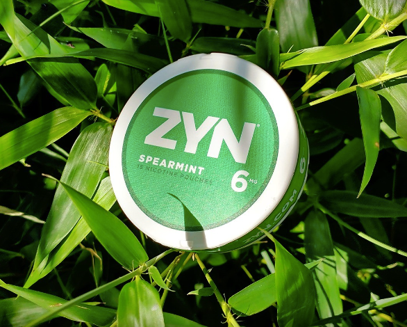 ZYN - Spearmint 6mg