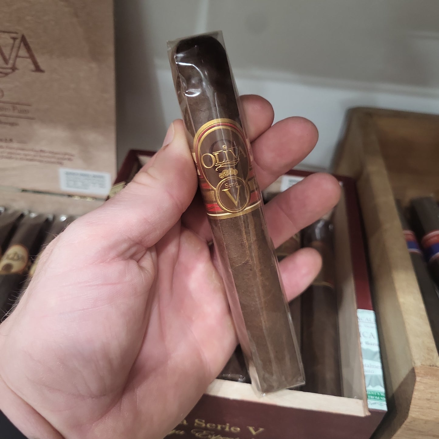 Oliva - Serie V Double Toro