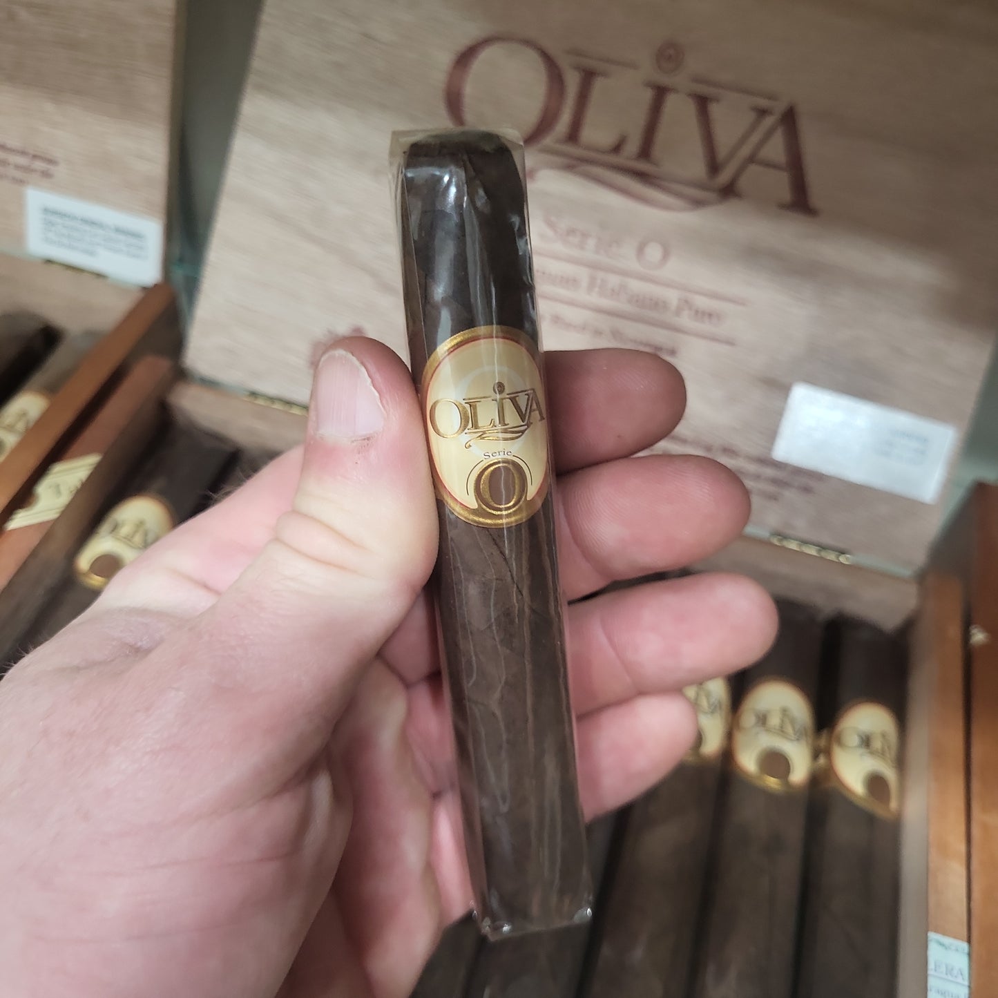 Oliva - Serie O Maduro Robusto