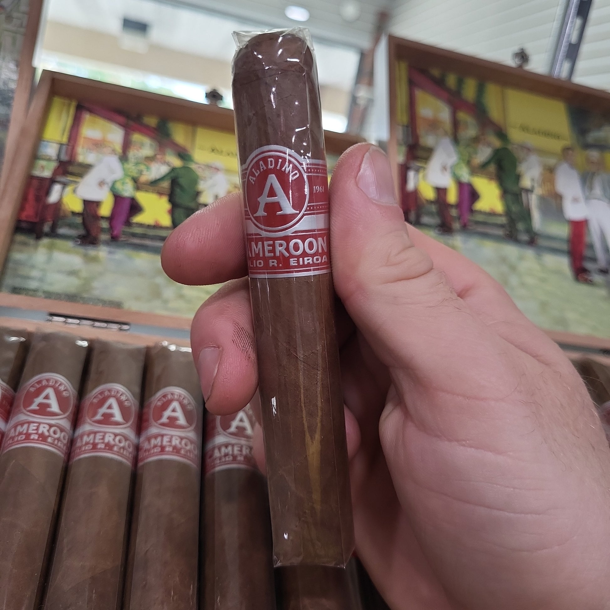 Aladino Cameroon Robusto by JRE Tobacco