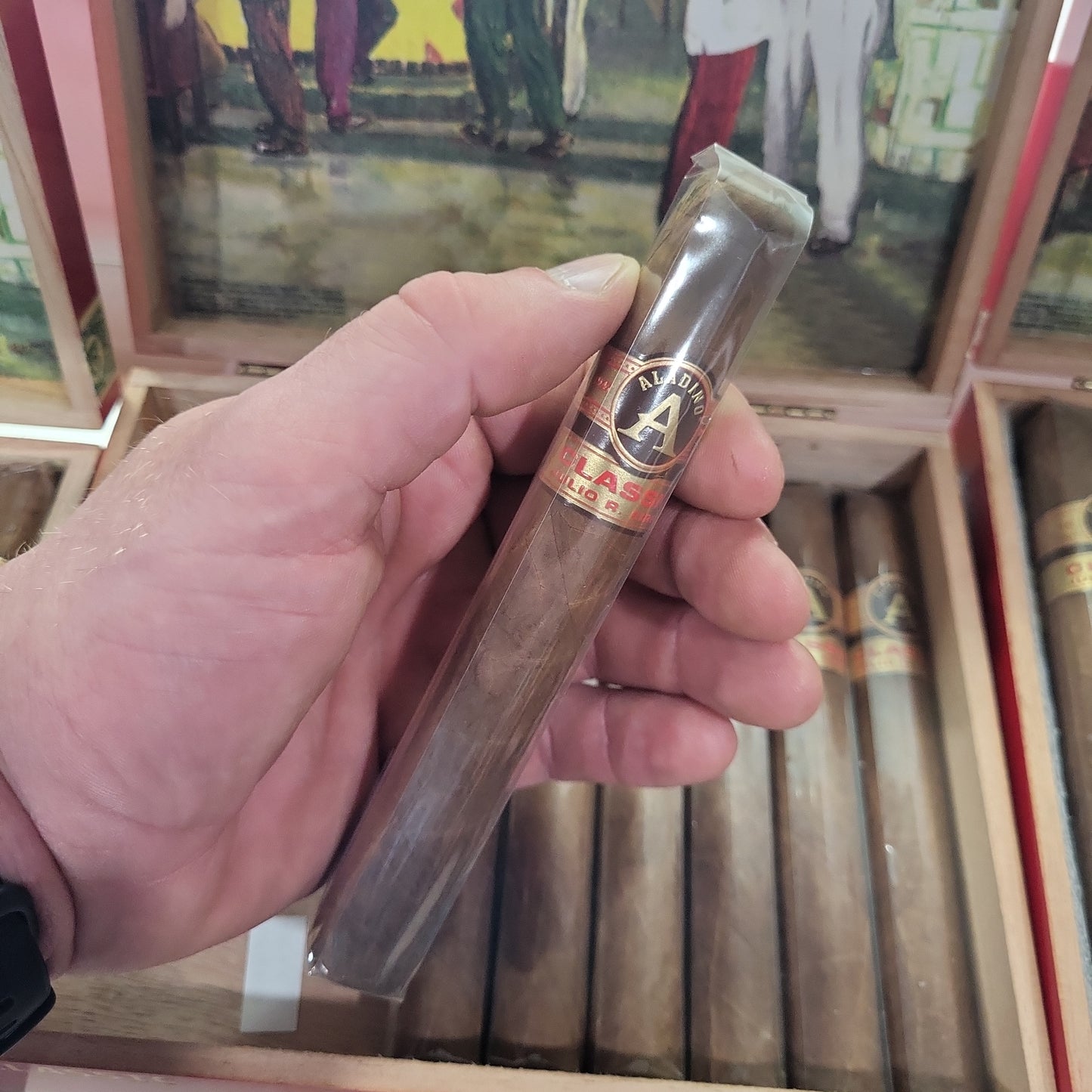 JRE Aladino - Classic Robusto