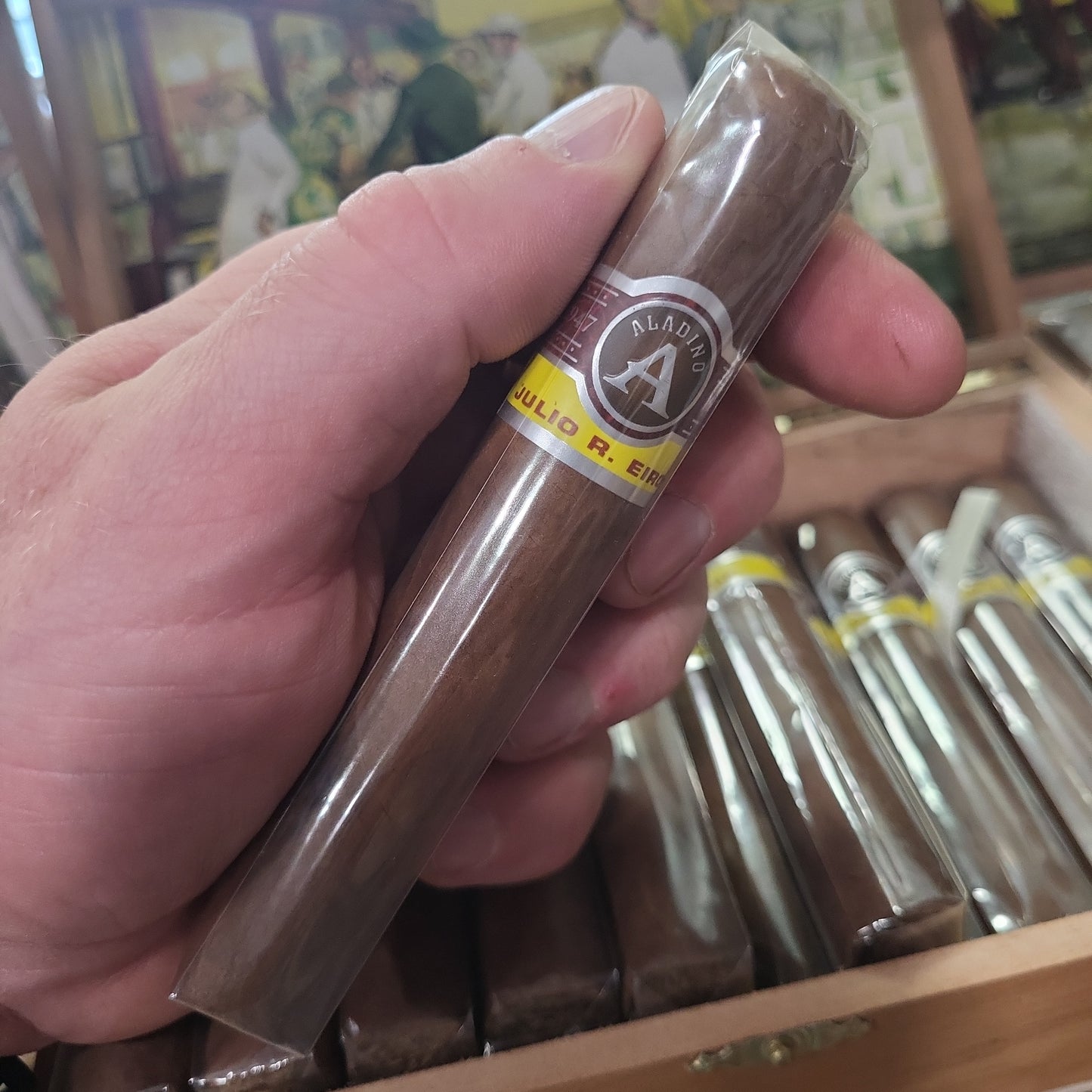 JRE Aladino - Corojo Robusto 5×50