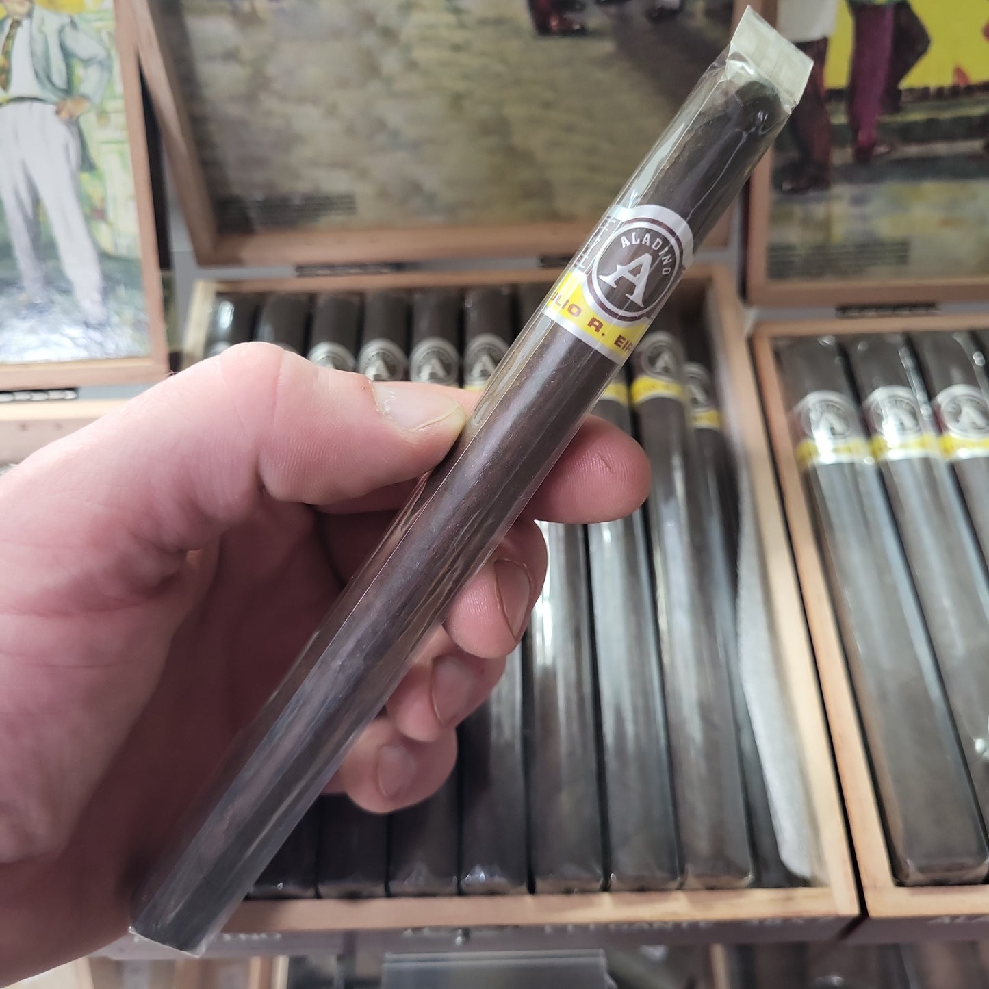 JRE Aladino - Maduro Elegante 7x38