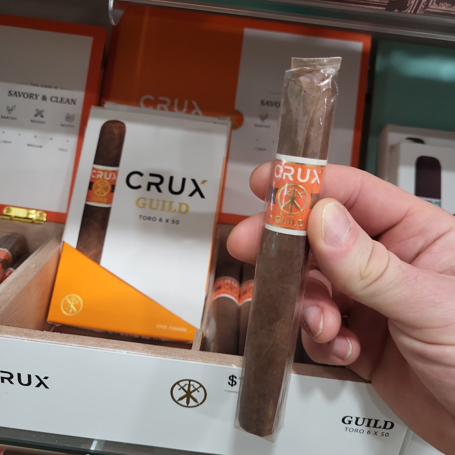 Crux - Guild Toro