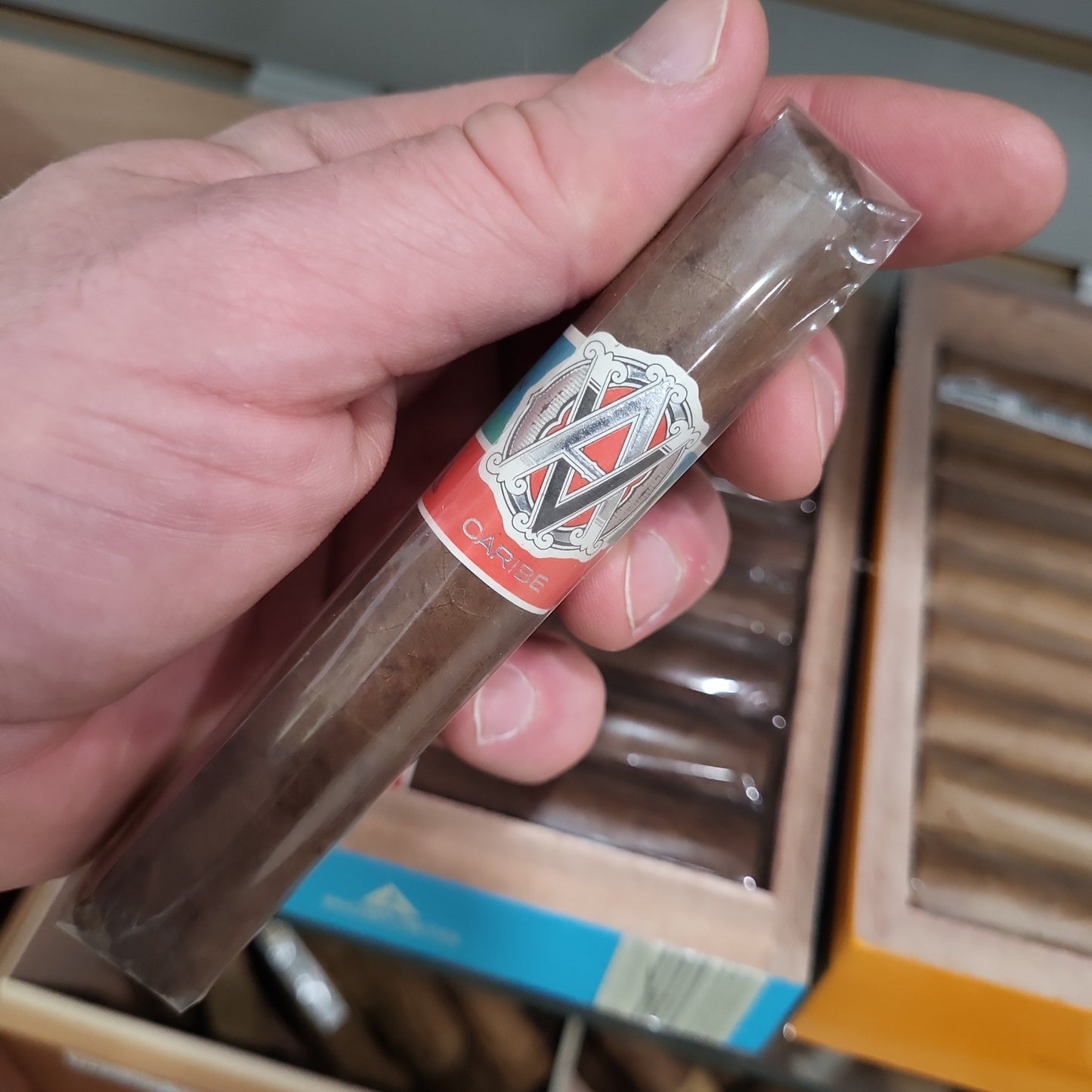 AVO - Syncro Caribe Robusto