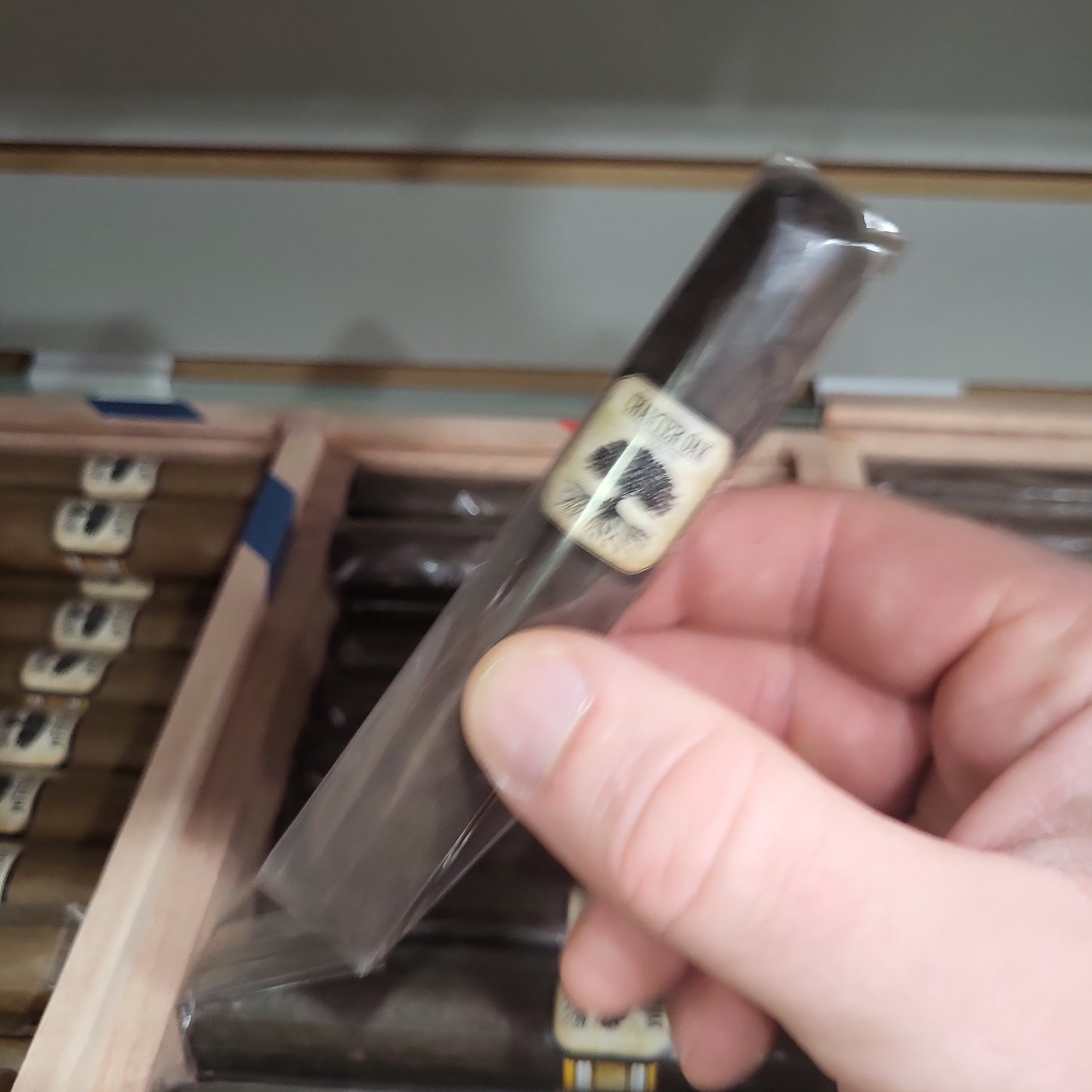 Foundation - Charter Oak Maduro Rothschild