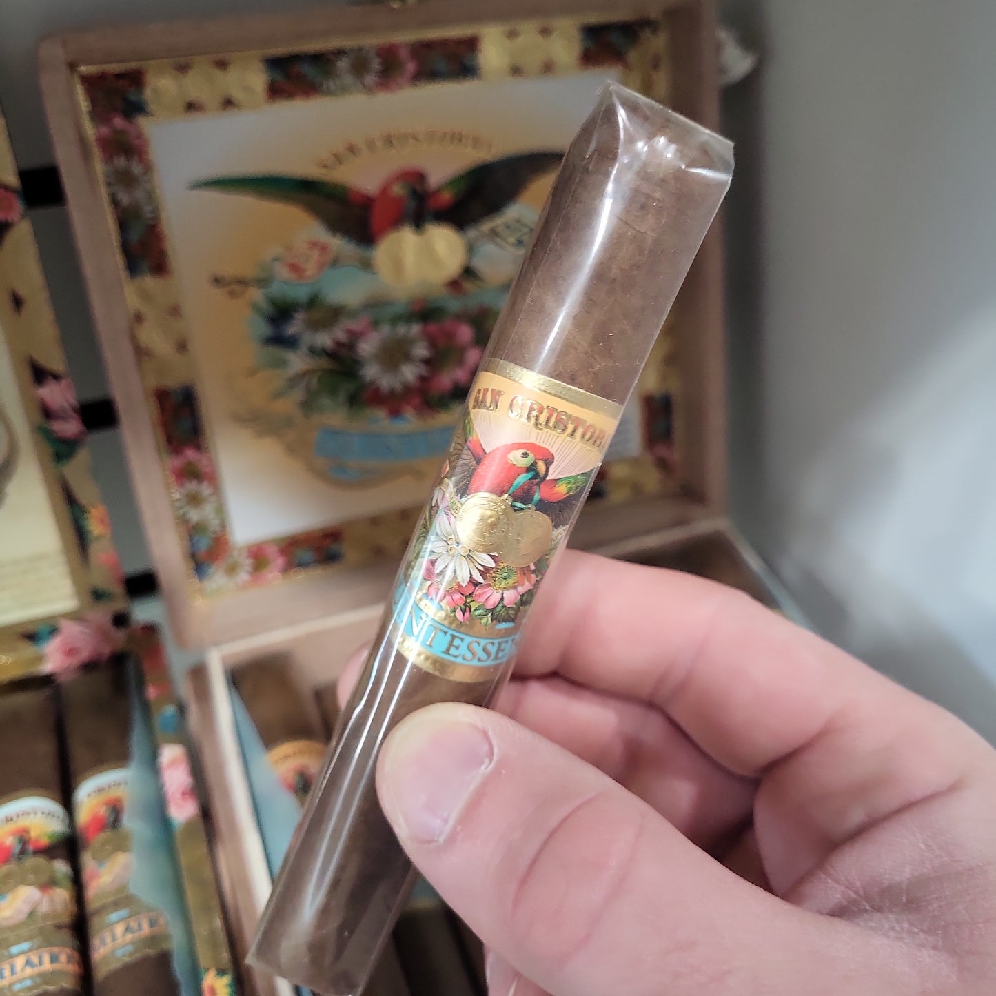 San Cristobal - Quintessence Robusto