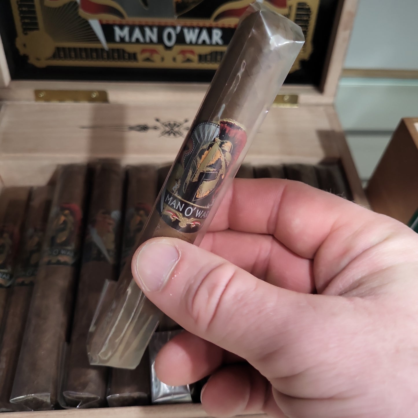 Man O War - Original Robusto